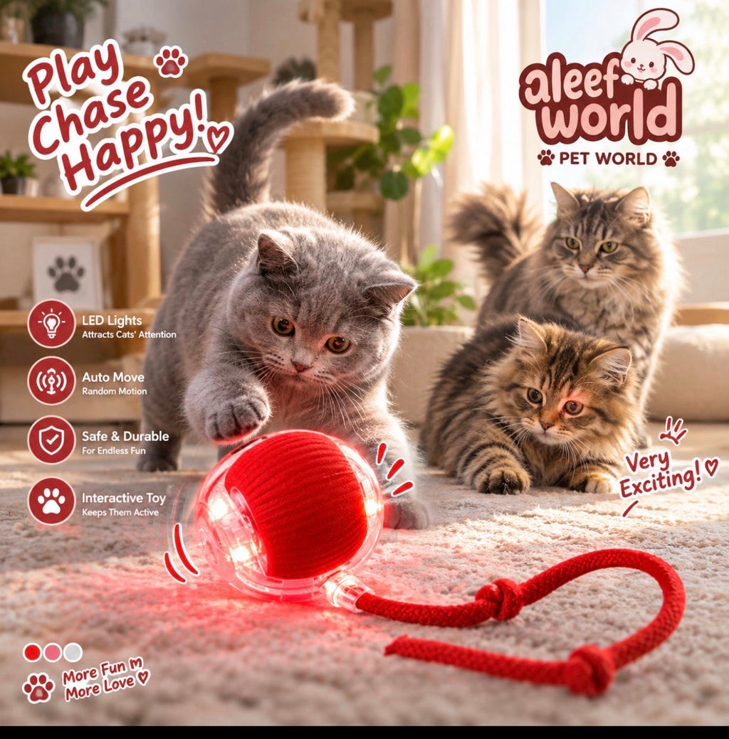 Smart Interactive Pet Ball