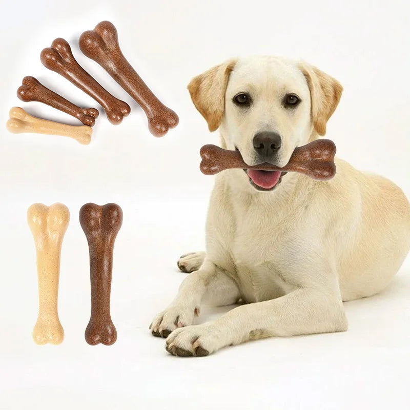 Durable Dog Chew Bone – Dental & Training Toy
