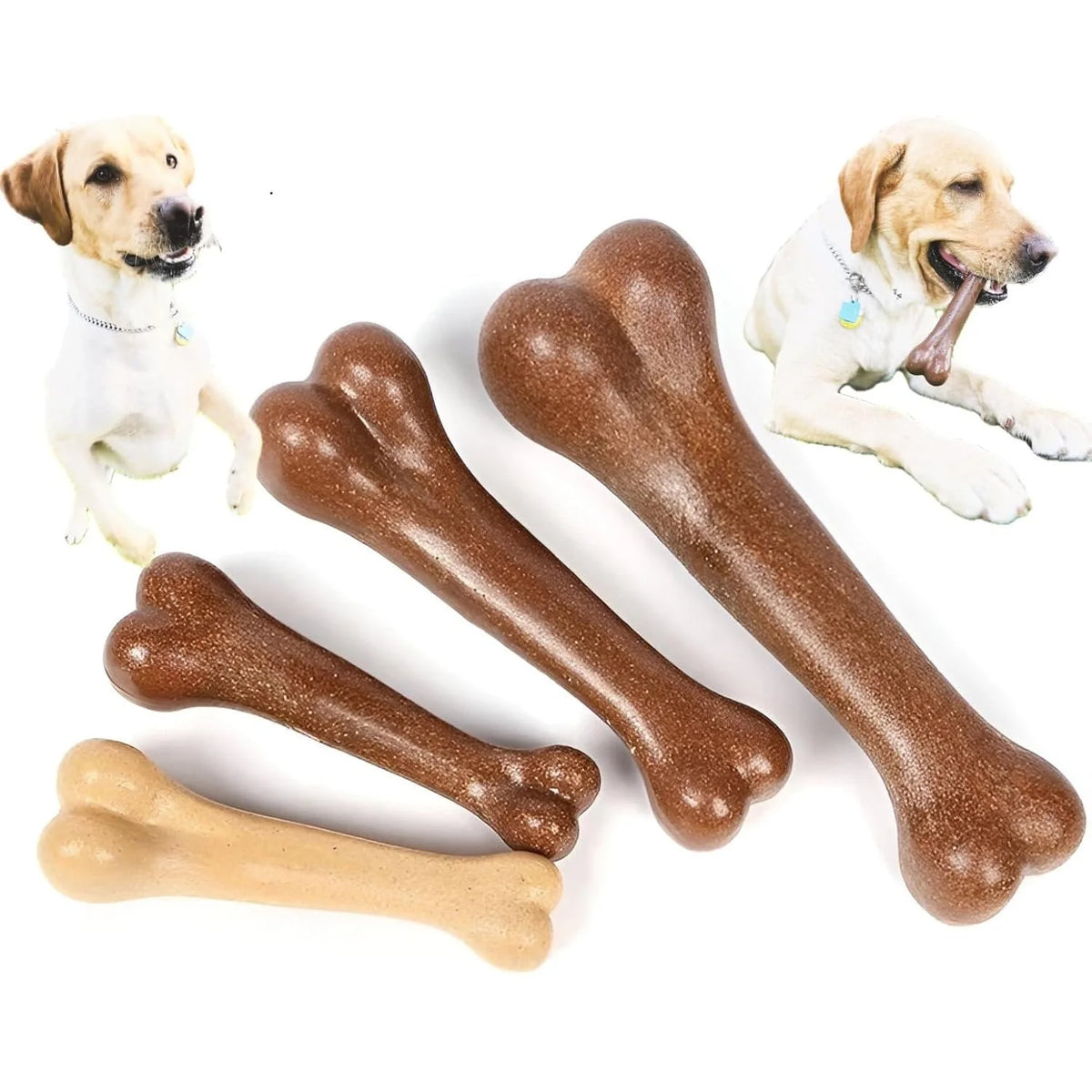 Durable Dog Chew Bone – Dental & Training Toy