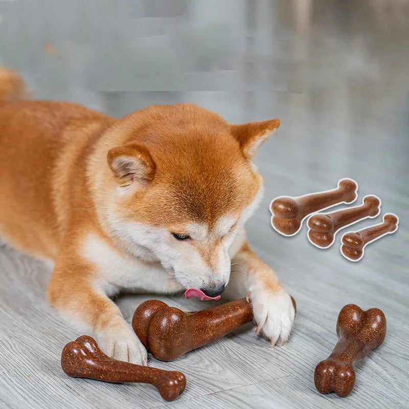 Durable Dog Chew Bone – Dental & Training Toy