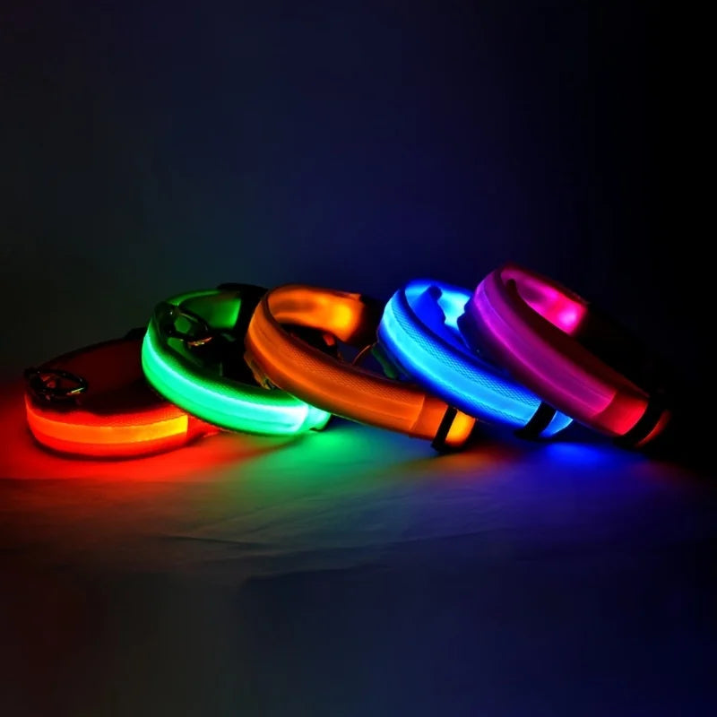GlowPaw LED Safety Collar