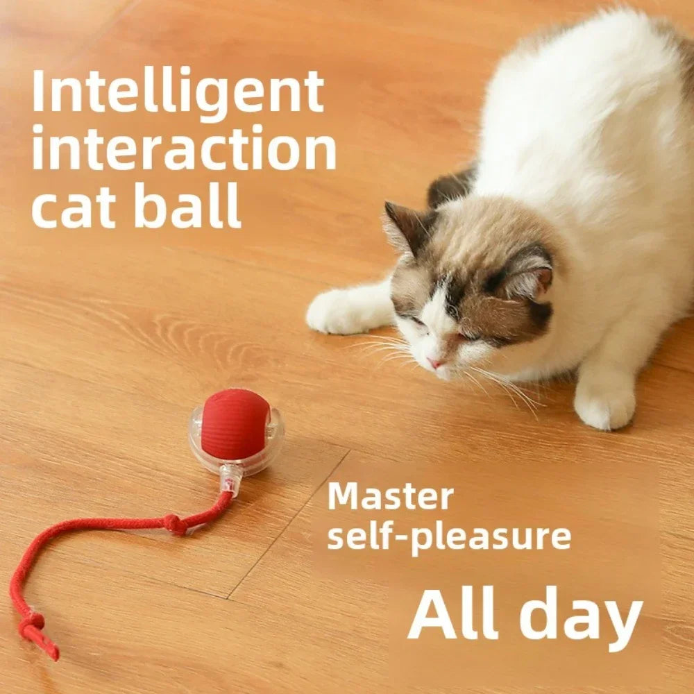 Smart Interactive Pet Ball