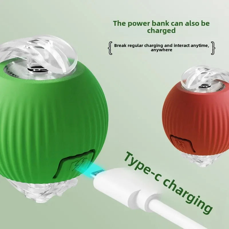 Smart Interactive Pet Ball