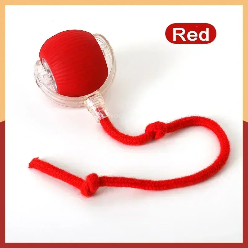 Smart Interactive Pet Ball