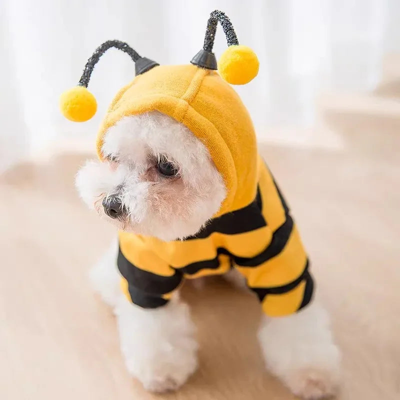 Cute Bee Costume for Dogs & Cat