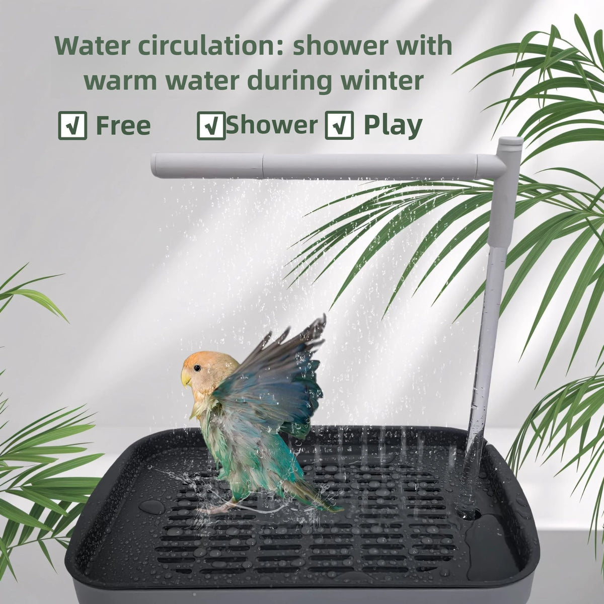 AquaWing™ Smart Parrot Bath