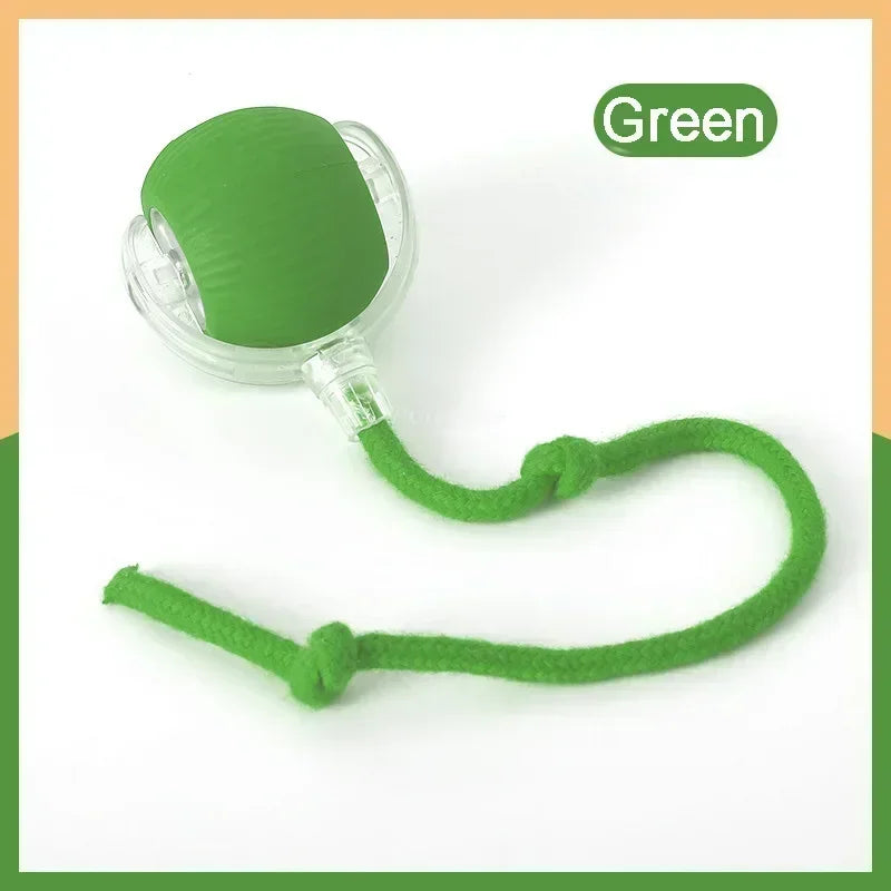 Smart Interactive Pet Ball