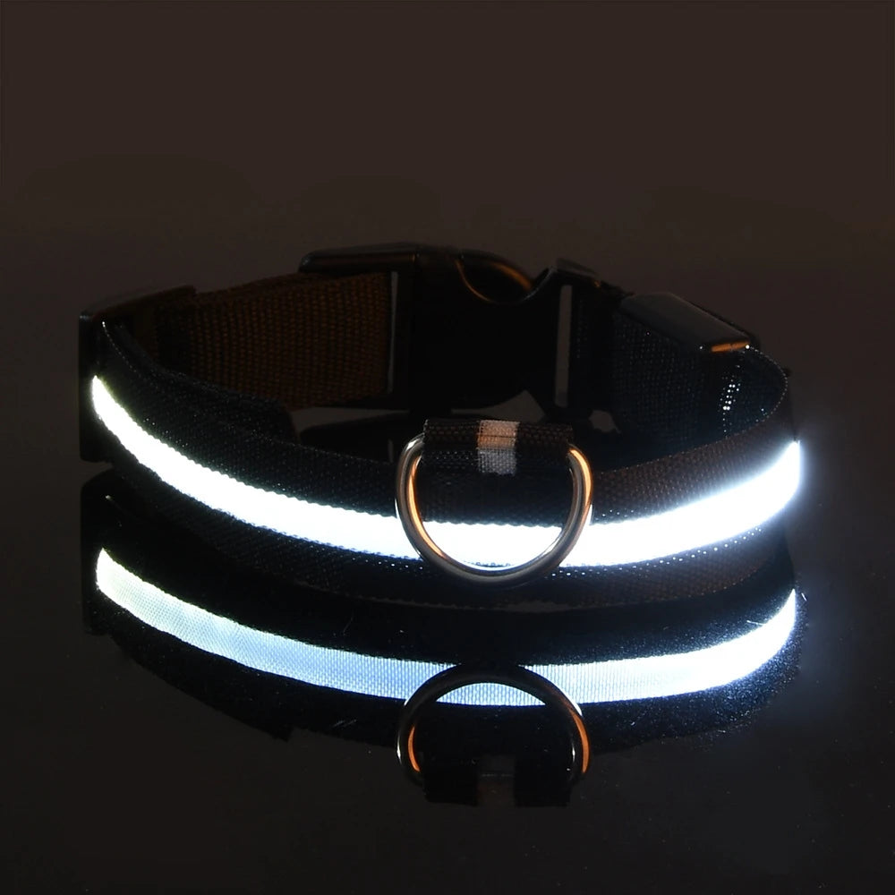 GlowPaw LED Safety Collar