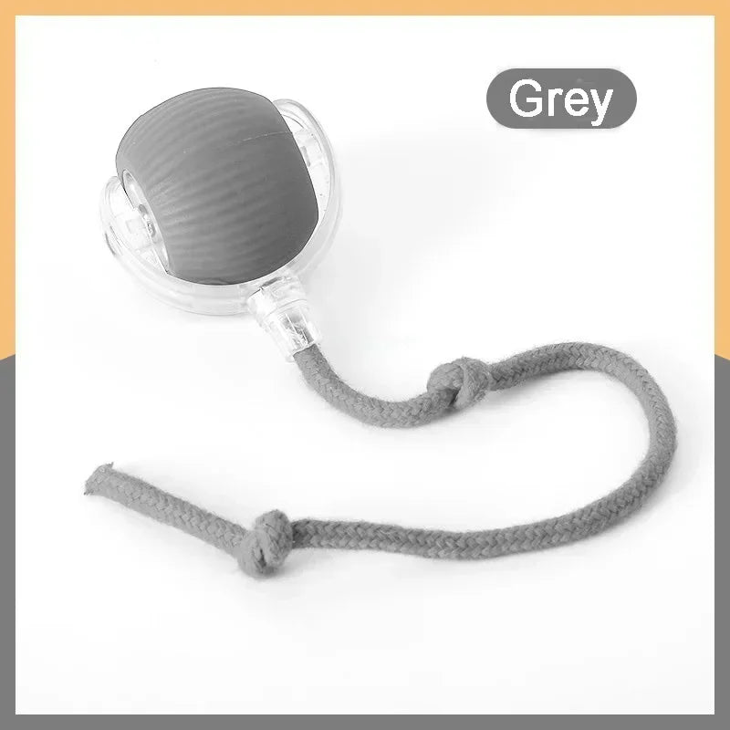 Smart Interactive Pet Ball