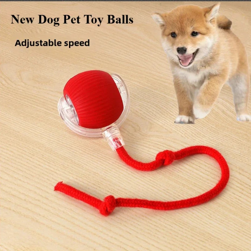 Smart Interactive Pet Ball