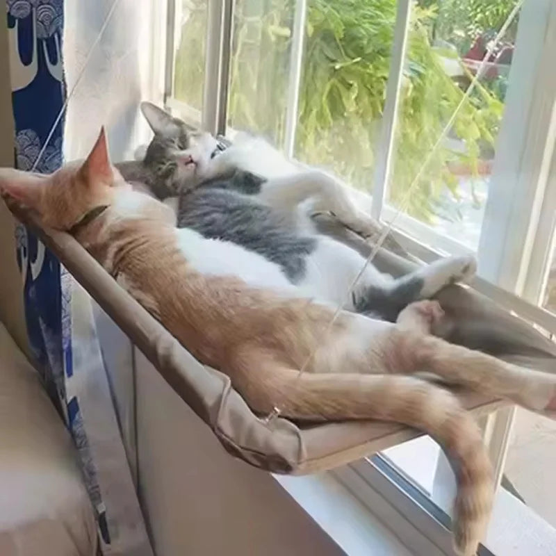 Hanging Cat Window Hammock Bed 🐱🪟