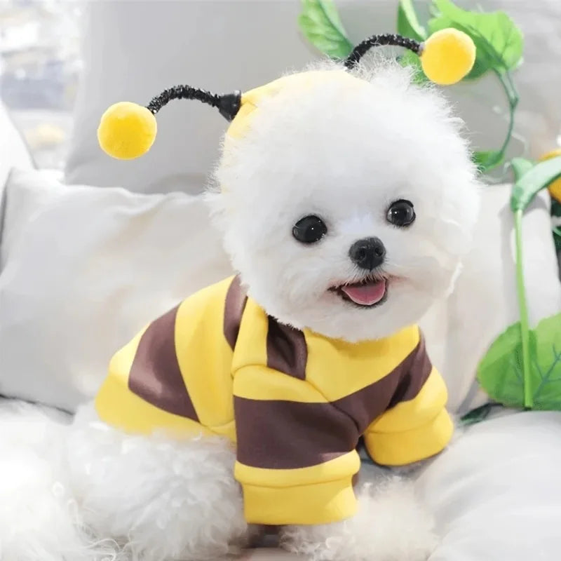 Cute Bee Costume for Dogs & Cat