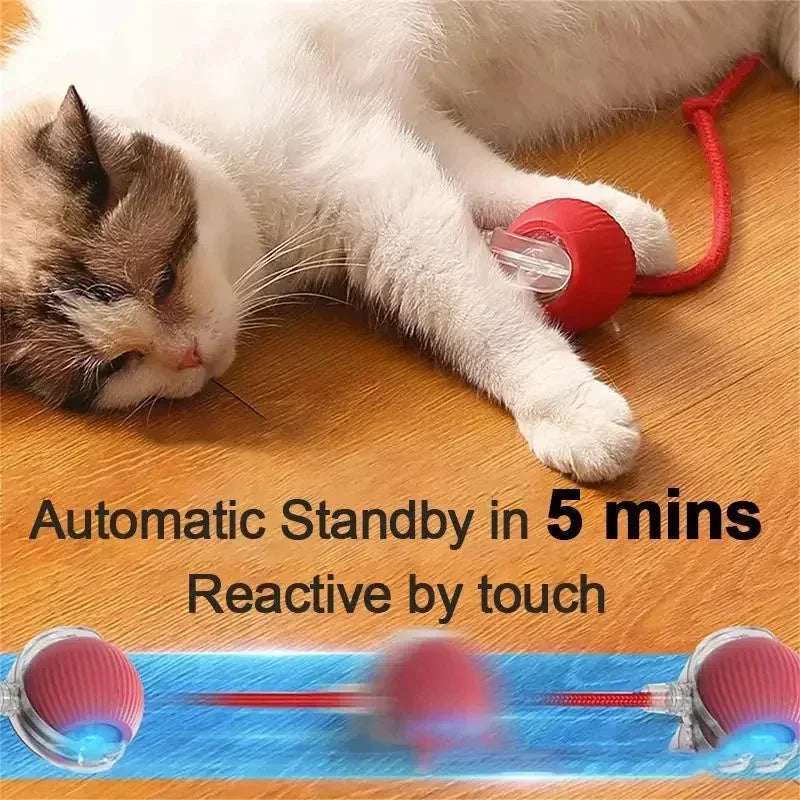 Smart Interactive Pet Ball