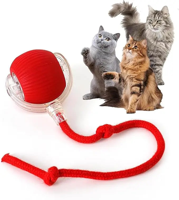 Smart Interactive Pet Ball