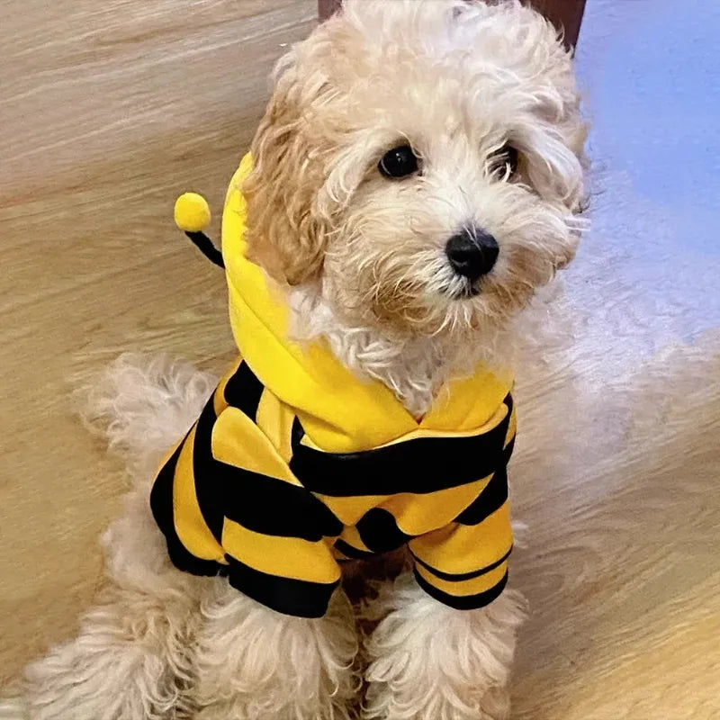 Cute Bee Costume for Dogs & Cat