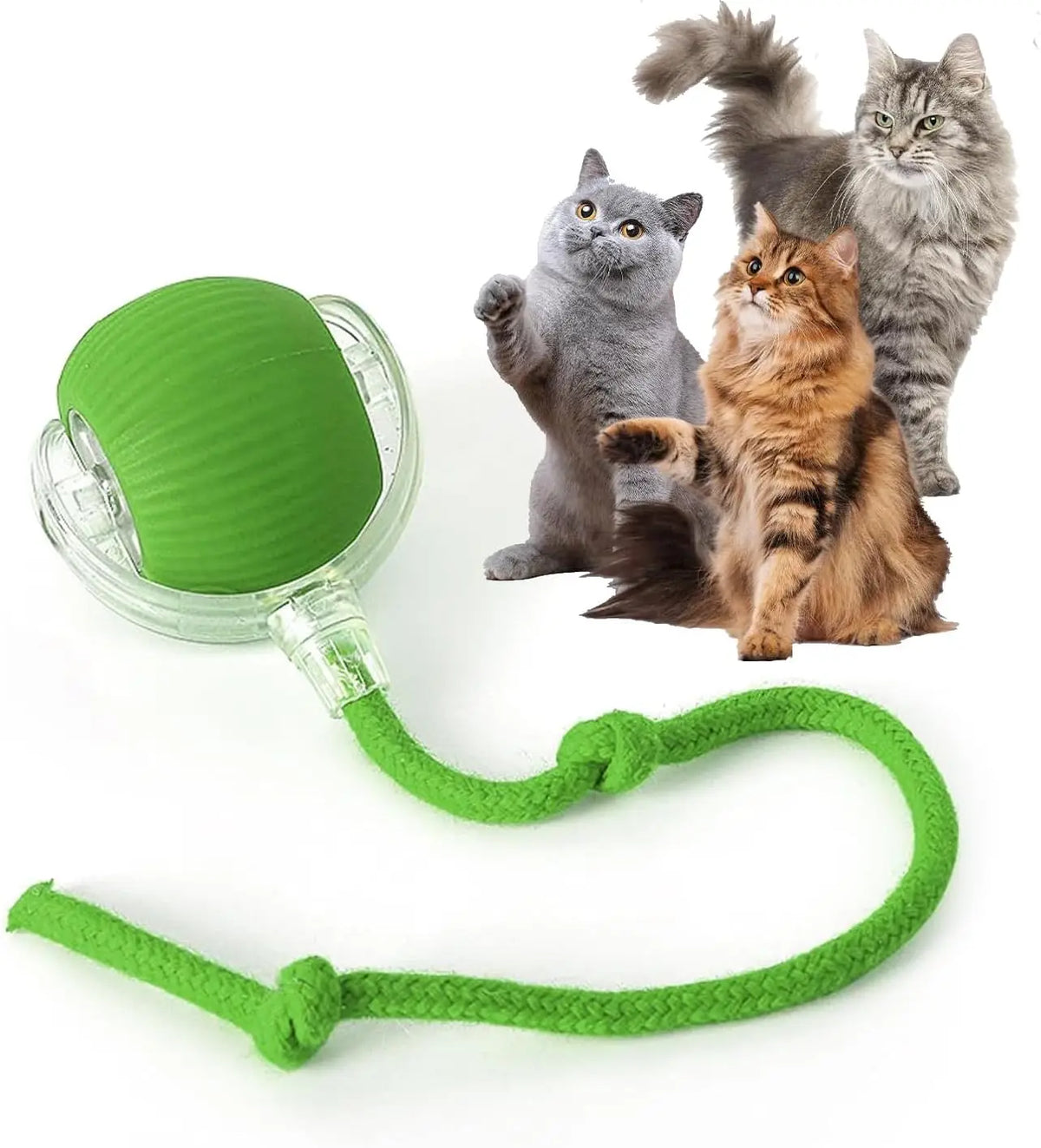 Smart Interactive Pet Ball
