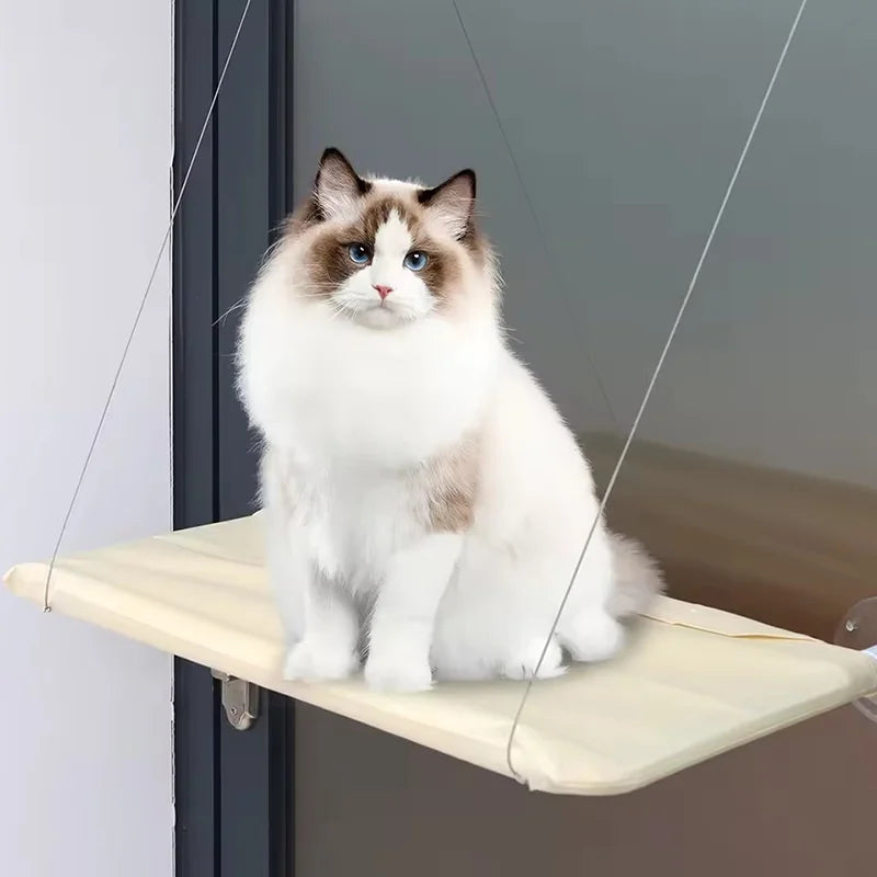 Hanging Cat Window Hammock Bed 🐱🪟