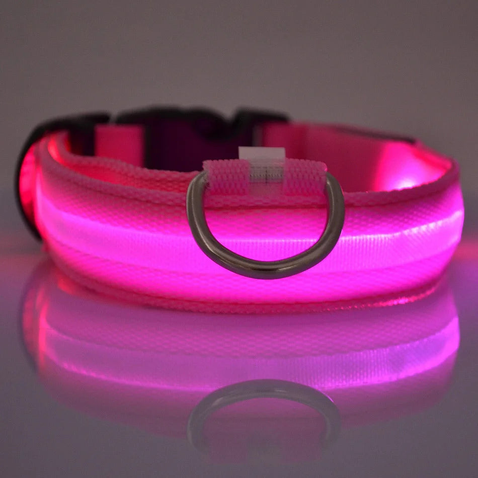 GlowPaw LED Safety Collar